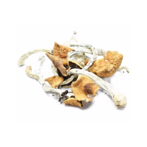 Buy B+ Mushroom in Okalhoma