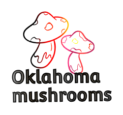 Oklahoma Mushroomshop